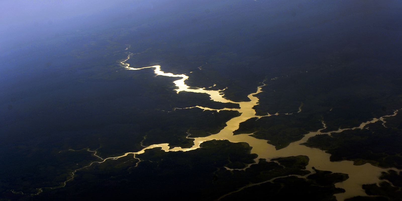 Captura de carbono na Amazônia está em risco, diz estudo