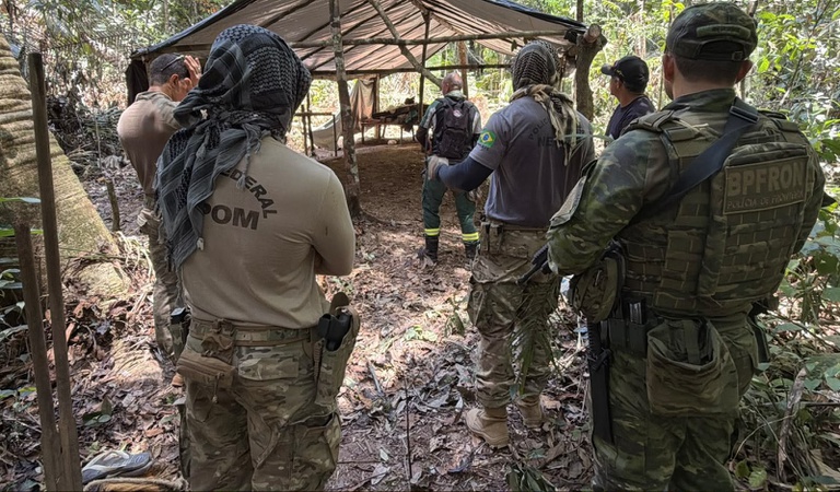 PF faz operação contra extração ilegal de madeira em terra indígena de Rondônia