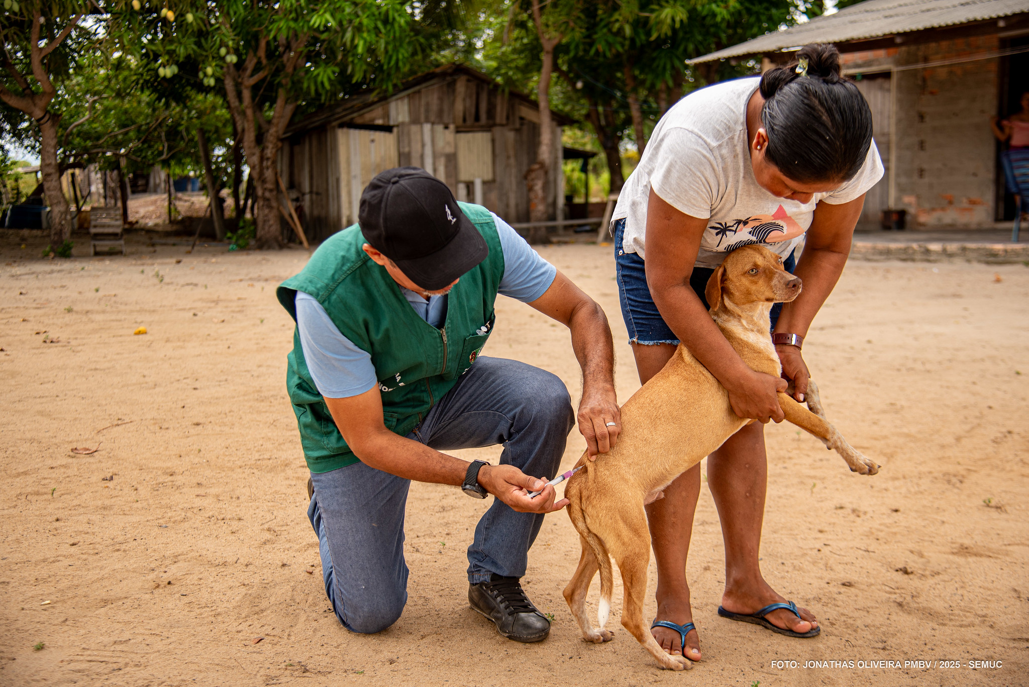 SAÚDE ANIMAL | Vacinação gratuita contra a raiva chega à zona rural de Boa Vista; confira o calendário