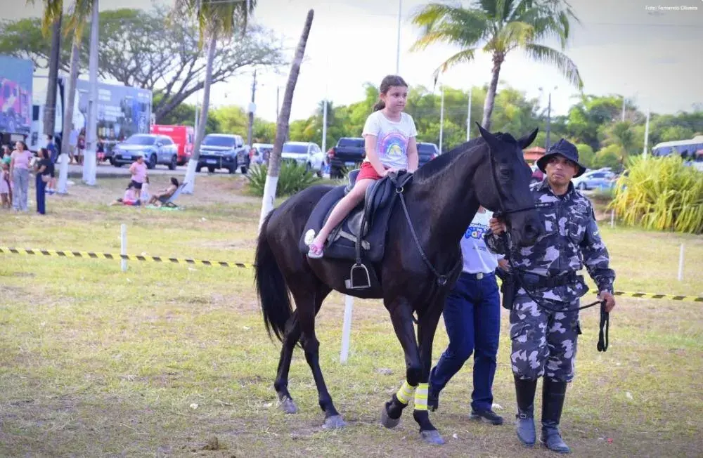 Parque na zona Oeste recebe programação gratuita com esporte e cultura