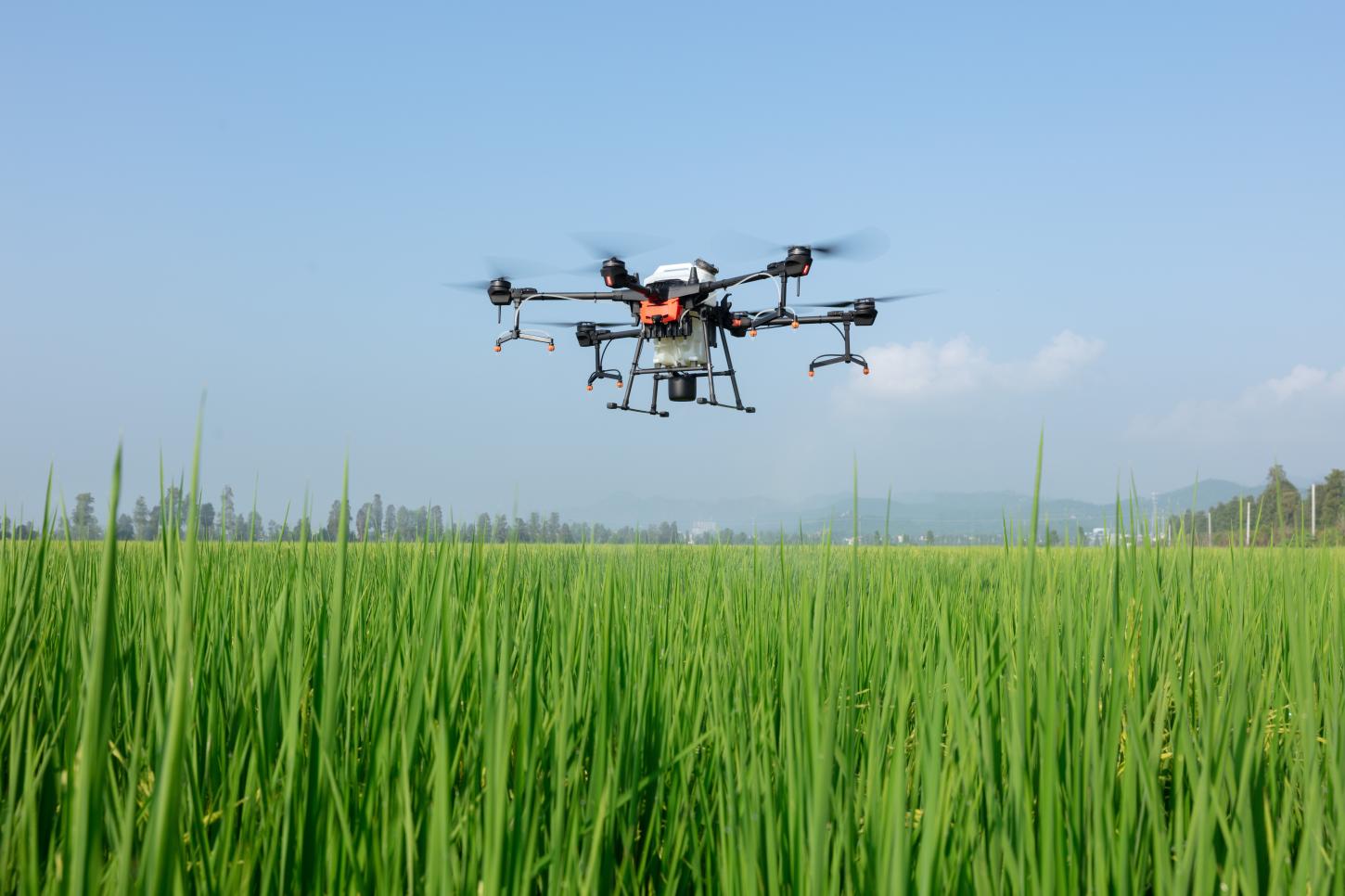 Roraima abre 50 vagas para cursos de drones com salários que chegam a R$ 20 mil
