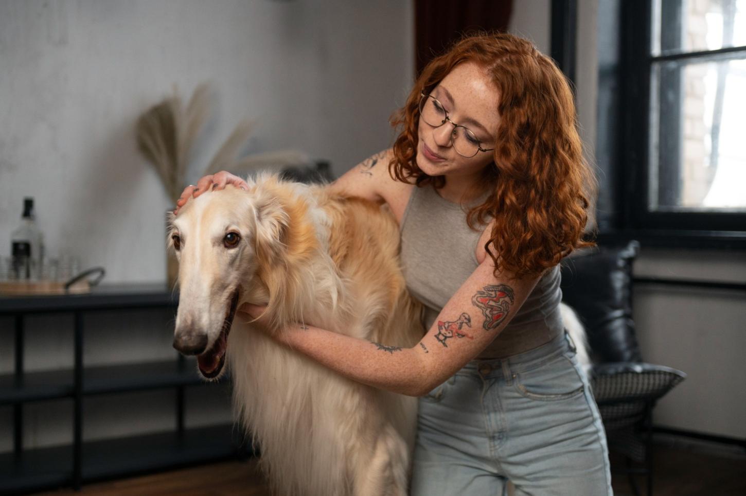 Câmara de Boa Vista aprova programa que incentiva estabelecimentos pet friendly na capital