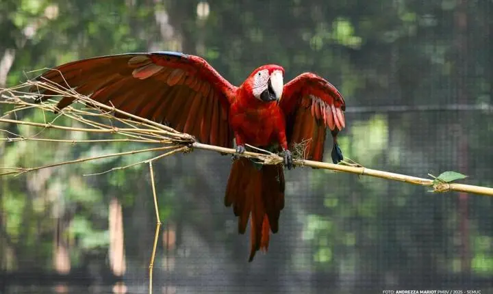 Boa Vista celebra 136 anos como símbolo de planejamento, qualidade de vida e hospitalidade na Amazônia