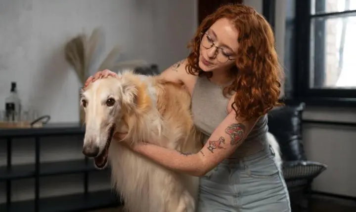 Câmara de Boa Vista aprova programa que incentiva estabelecimentos pet friendly na capital